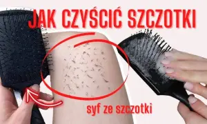 Czysta szczotka: Jak wyczyścić włosy i kurz? Porady eksperta!