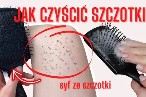 Czysta szczotka: Jak wyczyścić włosy i kurz? Porady eksperta!