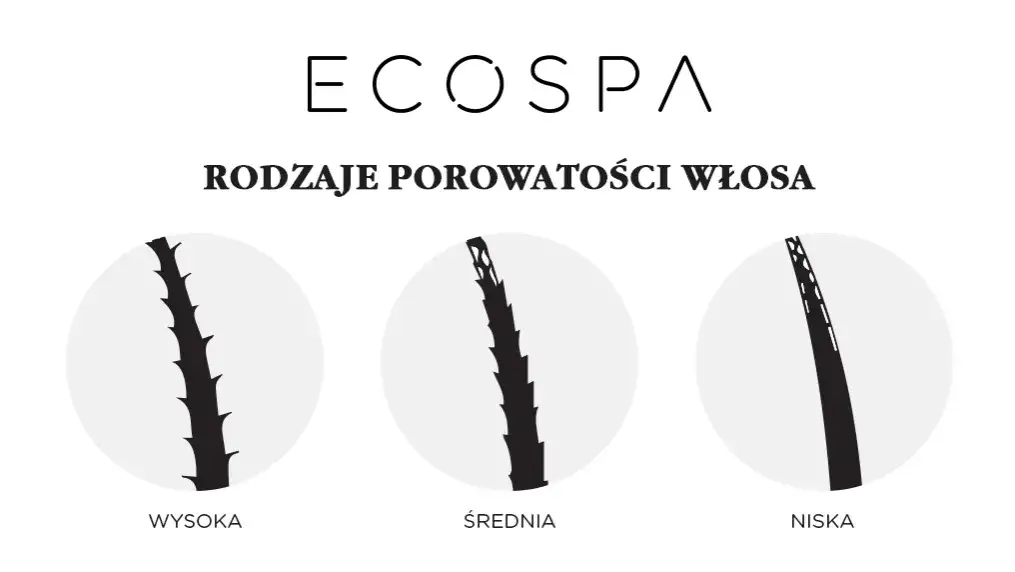 różne typy porowatości włosów infografika